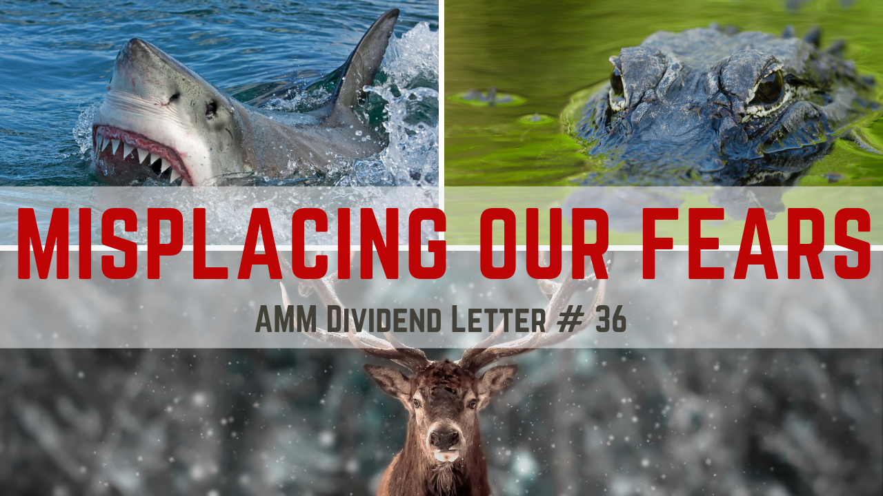 amm dividend letter